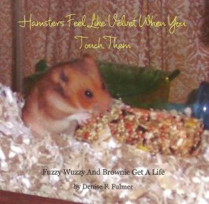 Book Trailer Hamsters Feel Like Velvet When You Touch Them
